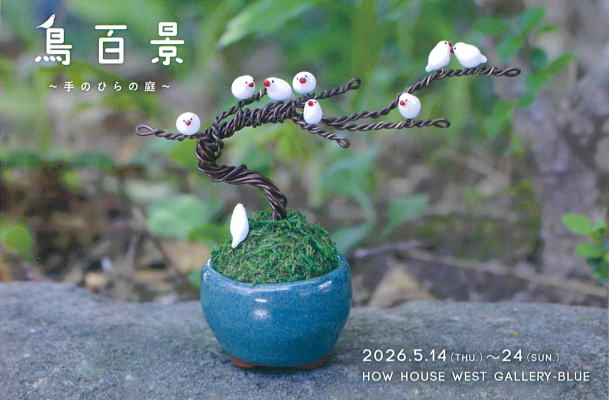 鳥百景